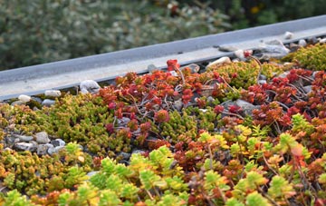 the cost of Pratts Bottom green roof installation