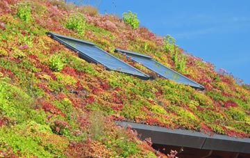 Pratts Bottom living roof systems